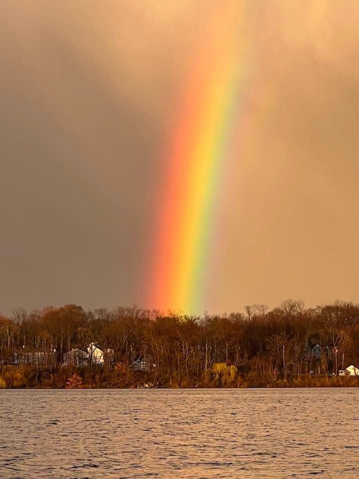 rainbow, lake, trees